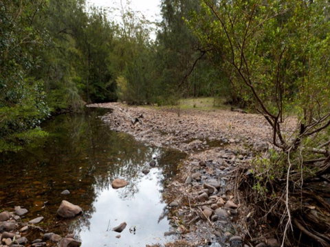 Budawang National Park - VIC Tourism 0