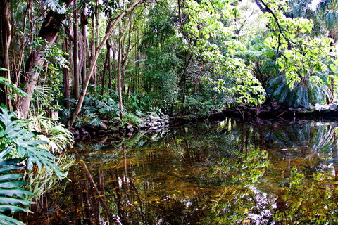 Cascade Gardens - VIC Tourism 2