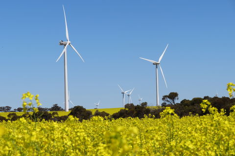 Collgar Wind Farm Merredin - VIC Tourism 1