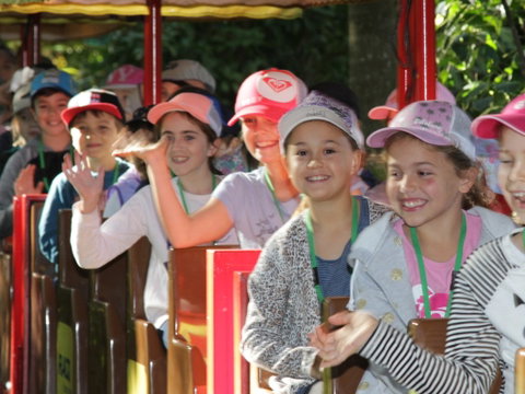 Currumbin Wildlife Sanctuary - VIC Tourism 1