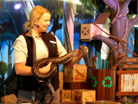 Currumbin Wildlife Sanctuary - VIC Tourism 2