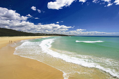 Dalmeny To Potato Point Via Lake Brou - VIC Tourism 1