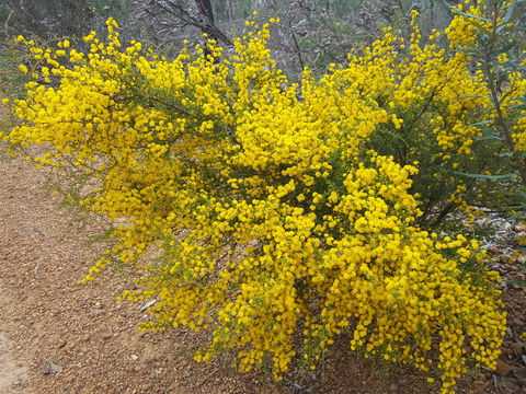 Dawn Atwell Nature Reserve - VIC Tourism 2