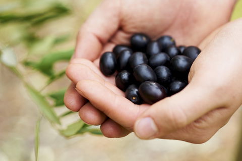 Eat, Pick, Grow Trail - Wanneroo And Chittering - VIC Tourism 0
