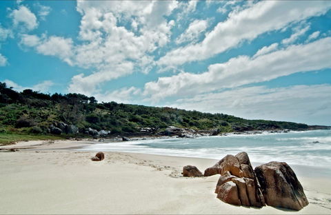 Fishermans Bay Foreshore - VIC Tourism 0