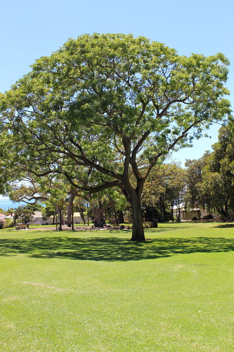 Flinders Park Playground - VIC Tourism 0