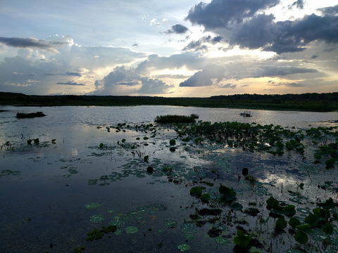 Fogg Dam Conservation Reserve - VIC Tourism 1