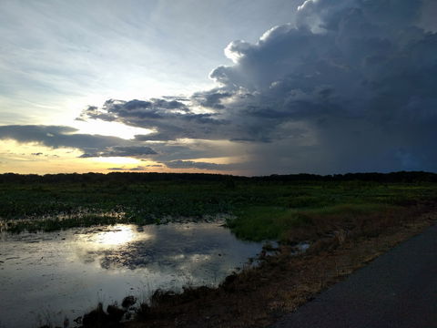 Fogg Dam Conservation Reserve - VIC Tourism 2