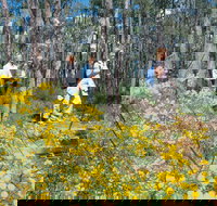 Gidgegannup - VIC Tourism