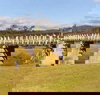 Historic Tabulam DeBurgh Timber Bridge - VIC Tourism