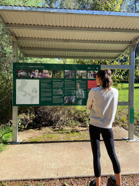Jehosaphat Gully Picnic Area - VIC Tourism 0