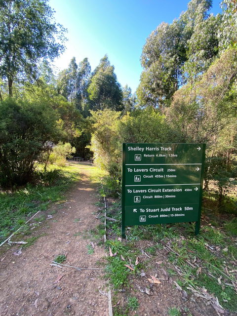 Jehosaphat Gully Picnic Area - VIC Tourism 2