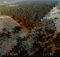 Julimar Date Garden - VIC Tourism