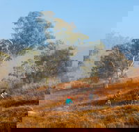 Kambah Pool to Pine Island Walking Trail - VIC Tourism