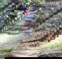 Kidsons Cycles - VIC Tourism