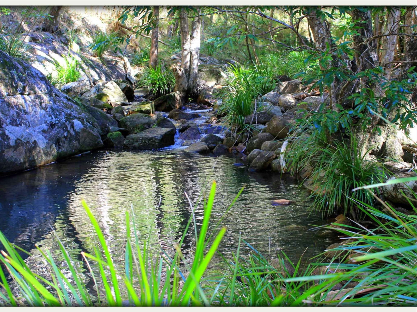 Kin Kin QLD VIC Tourism