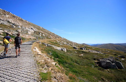 Kosciuszko Walk - Thredbo To Mount Kosciuszko - VIC Tourism 0