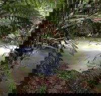 Marriotts Falls and Junee Caves - VIC Tourism