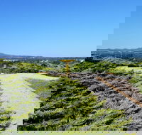 Mt Lindsay Rotary Park - VIC Tourism