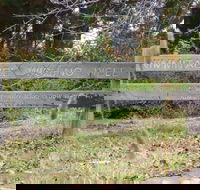 Nimmitabel Heritage Walk - VIC Tourism