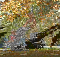 Noreuil Park - VIC Tourism