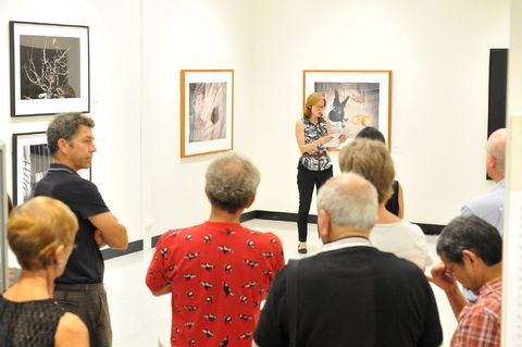 Pine Rivers Art Gallery - VIC Tourism 1