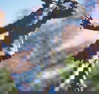 Queens Gardens - VIC Tourism