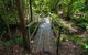 Rocky Crossing Walk - thumb 0