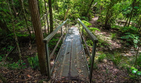 Rocky Crossing Walk - VIC Tourism 0