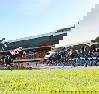 Rosehill Gardens Racecourse - VIC Tourism