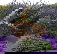 Rustique Lavender Farm - VIC Tourism