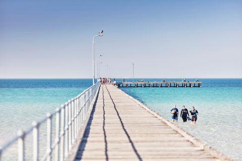 Rye Bay Trial - VIC Tourism 1