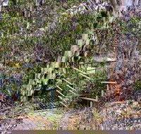 Sawpit Walking Track - VIC Tourism
