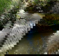 Second Ponds Creek Walk - VIC Tourism