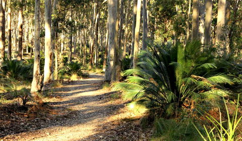 Square Head Track 2 - VIC Tourism 0