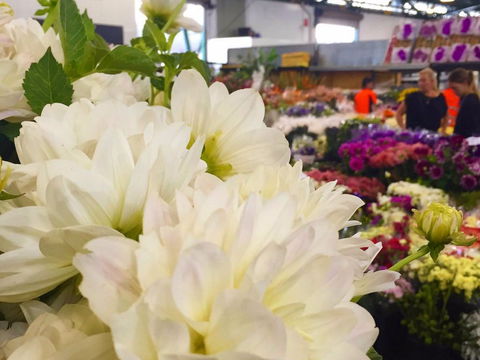 Sydney Flower Market - VIC Tourism 1