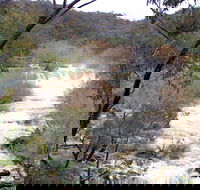 The Falls Water Falls - VIC Tourism