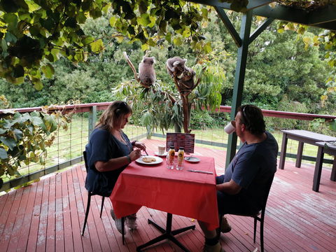 The Aussie Stop Offering Breakfast With Koalas - VIC Tourism 0