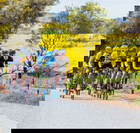 The Heron's Highway - Avon River Cycle Trail - VIC Tourism