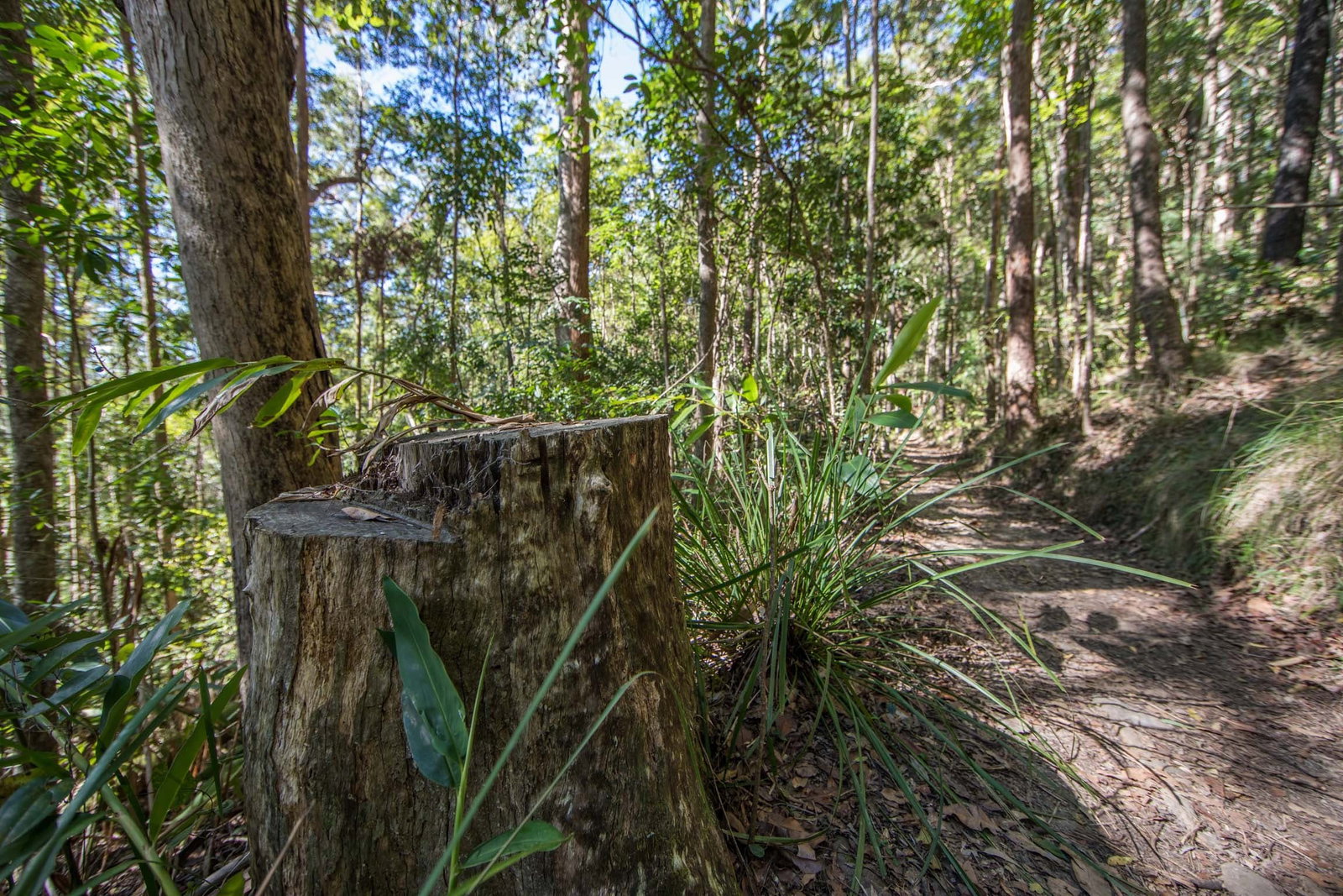 Mount Nebo QLD VIC Tourism