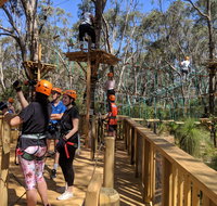 Trees Adventure - Yanchep Park - VIC Tourism