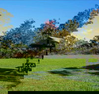 Tunks Hill picnic area - VIC Tourism
