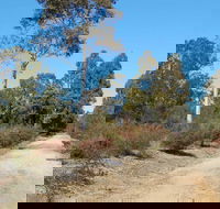 Werakata National Park - VIC Tourism