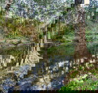 Woko National Park - VIC Tourism