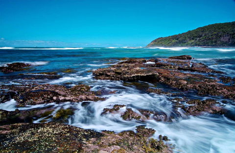 Wyrrabalong National Park - VIC Tourism 0