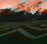 Bellingham Maze - VIC Tourism