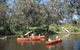 Blackwood River - thumb 1
