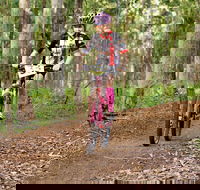 Bom Bom State Forest Mountain Bike Trails - VIC Tourism