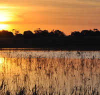 Bool Lagoon Game Reserve and Hacks Lagoon Conservation Park - VIC Tourism
