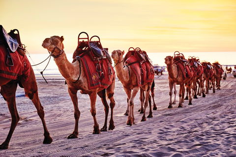 Broome And The Kimberley Coast - VIC Tourism 0